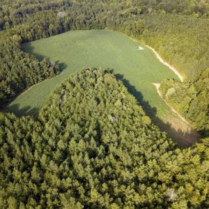 Photo of SOLD!!  79.32 Acres of Farm and Hunting Land For Sale in Person County NC!
