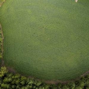 Photo of SOLD!!  79.32 Acres of Farm and Hunting Land For Sale in Person County NC!