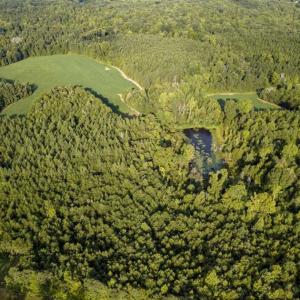 Photo of SOLD!!  79.32 Acres of Farm and Hunting Land For Sale in Person County NC!