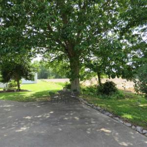 Photo of SOLD!!  23 Ac of Farm and Timber Land with Home and Outbuildings in Robeson Co NC!