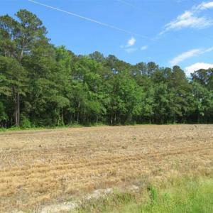 Photo of SOLD!!  20 Acres of Farm Land For Sale in Robeson County NC!