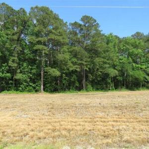 Photo of SOLD!!  20 Acres of Farm Land For Sale in Robeson County NC!