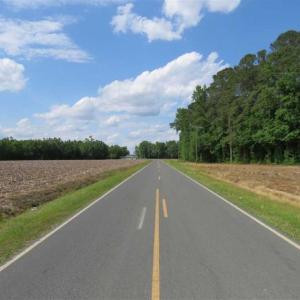 Photo of SOLD!!  20 Acres of Farm Land For Sale in Robeson County NC!