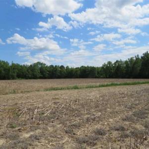 Photo of SOLD!!  20 Acres of Farm Land For Sale in Robeson County NC!