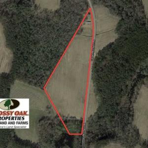 Photo of SOLD!!  20 Acres of Farm Land For Sale in Robeson County NC!