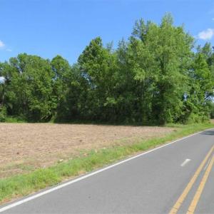 Photo of SOLD!!  20 Acres of Farm Land For Sale in Robeson County NC!