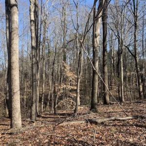 Photo of SOLD!!  2.38 Acres of Residential Land For Sale in Caswell County NC!