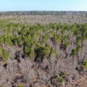 Photo of UNDER CONTRACT!!  79 Acres of Development Land For Sale in Robeson County NC!