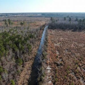 Photo of UNDER CONTRACT!!  79 Acres of Development Land For Sale in Robeson County NC!