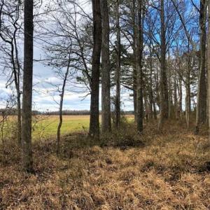 Photo of SOLD!!  12.42 Acres of Land For Sale in Perquimans County NC!