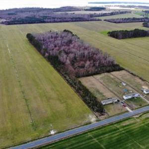 Photo of SOLD!!  12.42 Acres of Land For Sale in Perquimans County NC!