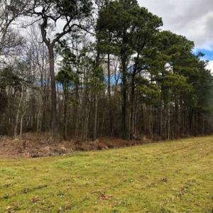 Photo of SOLD!!  12.42 Acres of Land For Sale in Perquimans County NC!