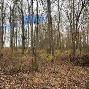 Photo of SOLD!!  12.42 Acres of Land For Sale in Perquimans County NC!