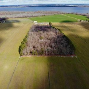 Photo of SOLD!!  12.42 Acres of Land For Sale in Perquimans County NC!