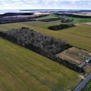 Photo of SOLD!!  12.42 Acres of Land For Sale in Perquimans County NC!