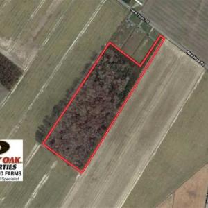 Photo of SOLD!!  12.42 Acres of Land For Sale in Perquimans County NC!