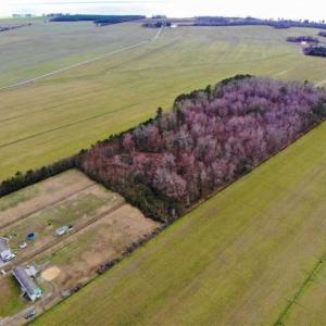 Photo of SOLD!!  12.42 Acres of Land For Sale in Perquimans County NC!