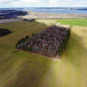 Photo of SOLD!!  12.42 Acres of Land For Sale in Perquimans County NC!