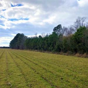 Photo of SOLD!!  12.42 Acres of Land For Sale in Perquimans County NC!