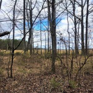Photo of SOLD!!  12.42 Acres of Land For Sale in Perquimans County NC!