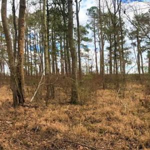Photo of SOLD!!  12.42 Acres of Land For Sale in Perquimans County NC!
