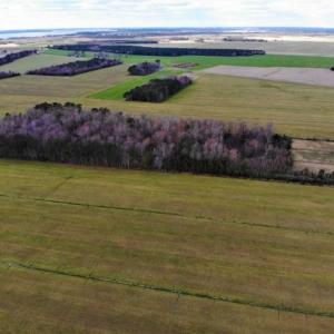 Photo of SOLD!!  12.42 Acres of Land For Sale in Perquimans County NC!