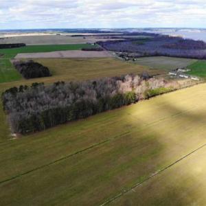Photo of SOLD!!  12.42 Acres of Land For Sale in Perquimans County NC!