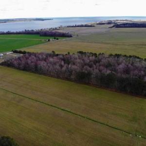 Photo of SOLD!!  12.42 Acres of Land For Sale in Perquimans County NC!
