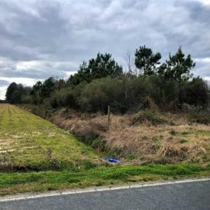 Photo of SOLD!!  12.42 Acres of Land For Sale in Perquimans County NC!