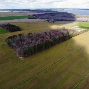 Photo of SOLD!!  12.42 Acres of Land For Sale in Perquimans County NC!