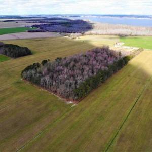 Photo of SOLD!!  12.42 Acres of Land For Sale in Perquimans County NC!