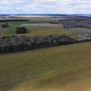 Photo of SOLD!!  12.42 Acres of Land For Sale in Perquimans County NC!