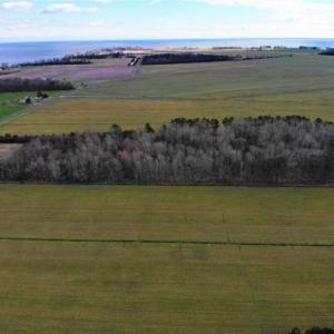Photo of SOLD!!  12.42 Acres of Land For Sale in Perquimans County NC!