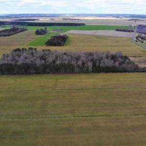 Photo of SOLD!!  12.42 Acres of Land For Sale in Perquimans County NC!