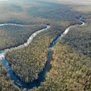 Photo of SOLD!!  166 Acres of Waterfront Hunting Land For Sale in Gates County NC!