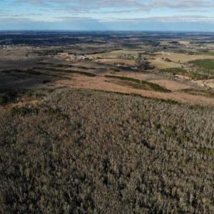 Photo of SOLD!!  166 Acres of Waterfront Hunting Land For Sale in Gates County NC!