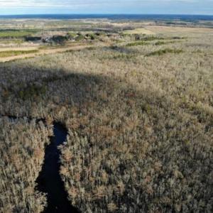 Photo of SOLD!!  166 Acres of Waterfront Hunting Land For Sale in Gates County NC!