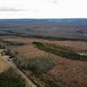 Photo of SOLD!!  166 Acres of Waterfront Hunting Land For Sale in Gates County NC!