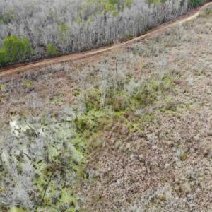 Photo of SOLD!!  166 Acres of Waterfront Hunting Land For Sale in Gates County NC!
