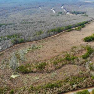 Photo of SOLD!!  166 Acres of Waterfront Hunting Land For Sale in Gates County NC!
