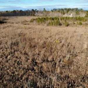 Photo of SOLD!!  166 Acres of Waterfront Hunting Land For Sale in Gates County NC!