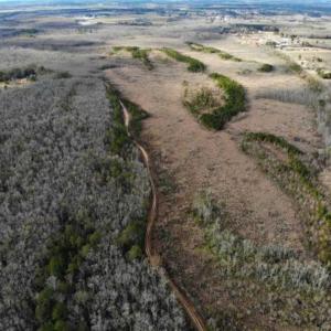 Photo of SOLD!!  166 Acres of Waterfront Hunting Land For Sale in Gates County NC!
