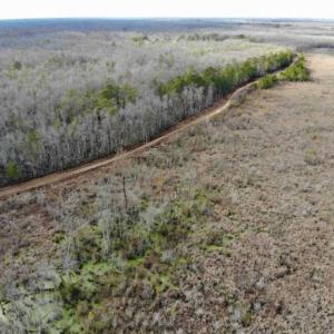 Photo of SOLD!!  166 Acres of Waterfront Hunting Land For Sale in Gates County NC!