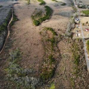 Photo of SOLD!!  166 Acres of Waterfront Hunting Land For Sale in Gates County NC!