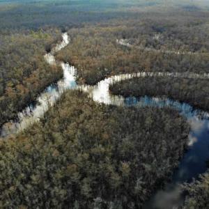 Photo of SOLD!!  166 Acres of Waterfront Hunting Land For Sale in Gates County NC!