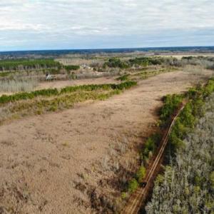 Photo of SOLD!!  166 Acres of Waterfront Hunting Land For Sale in Gates County NC!