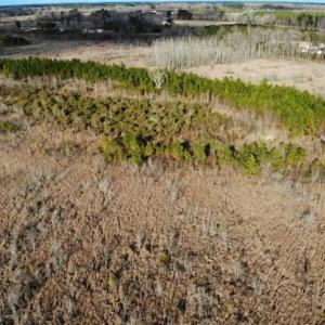 Photo of SOLD!!  166 Acres of Waterfront Hunting Land For Sale in Gates County NC!