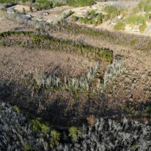 Photo of SOLD!!  166 Acres of Waterfront Hunting Land For Sale in Gates County NC!
