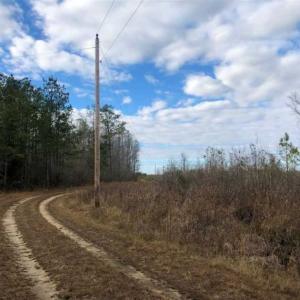Photo of SOLD!!  166 Acres of Waterfront Hunting Land For Sale in Gates County NC!