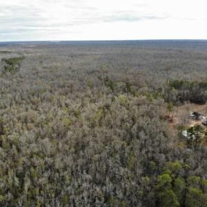 Photo of SOLD!!  166 Acres of Waterfront Hunting Land For Sale in Gates County NC!